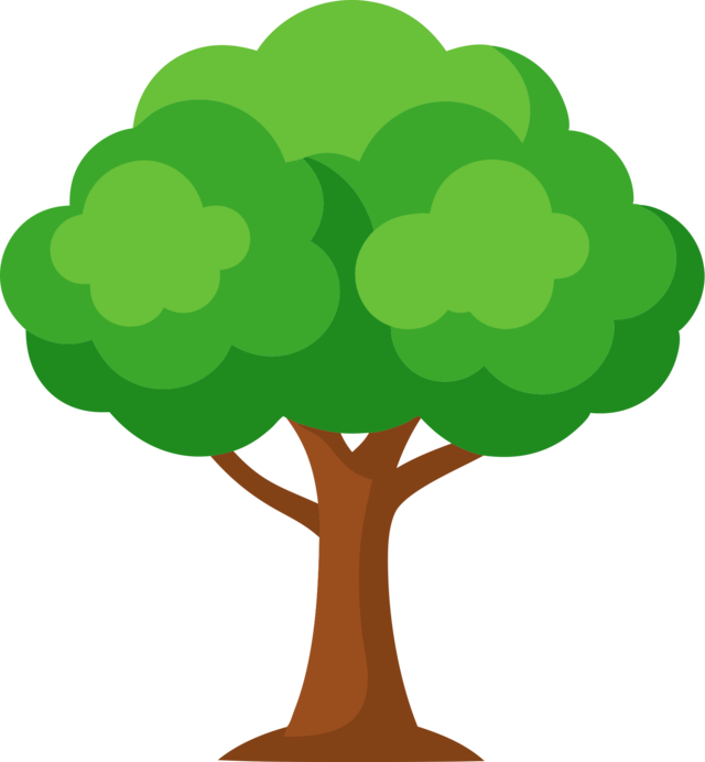 Baum
